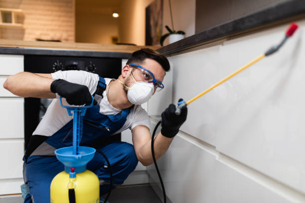 Best Emergency Pest Control  in Oak View, CA