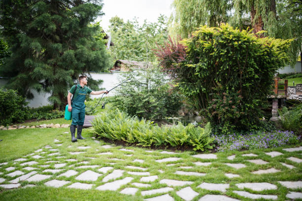 Best Pest Prevention Services  in Oak View, CA