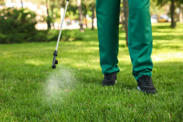 Best Pest Control Near Me  in Oak View, CA