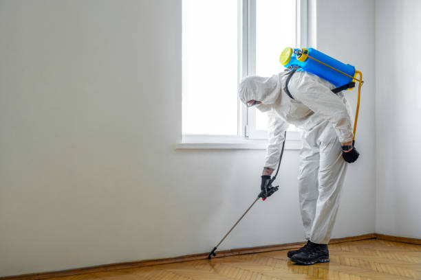 Best Cockroach Control Services  in Oak View, CA